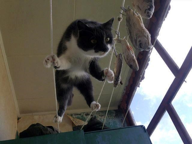 Dovraga i bestraga...