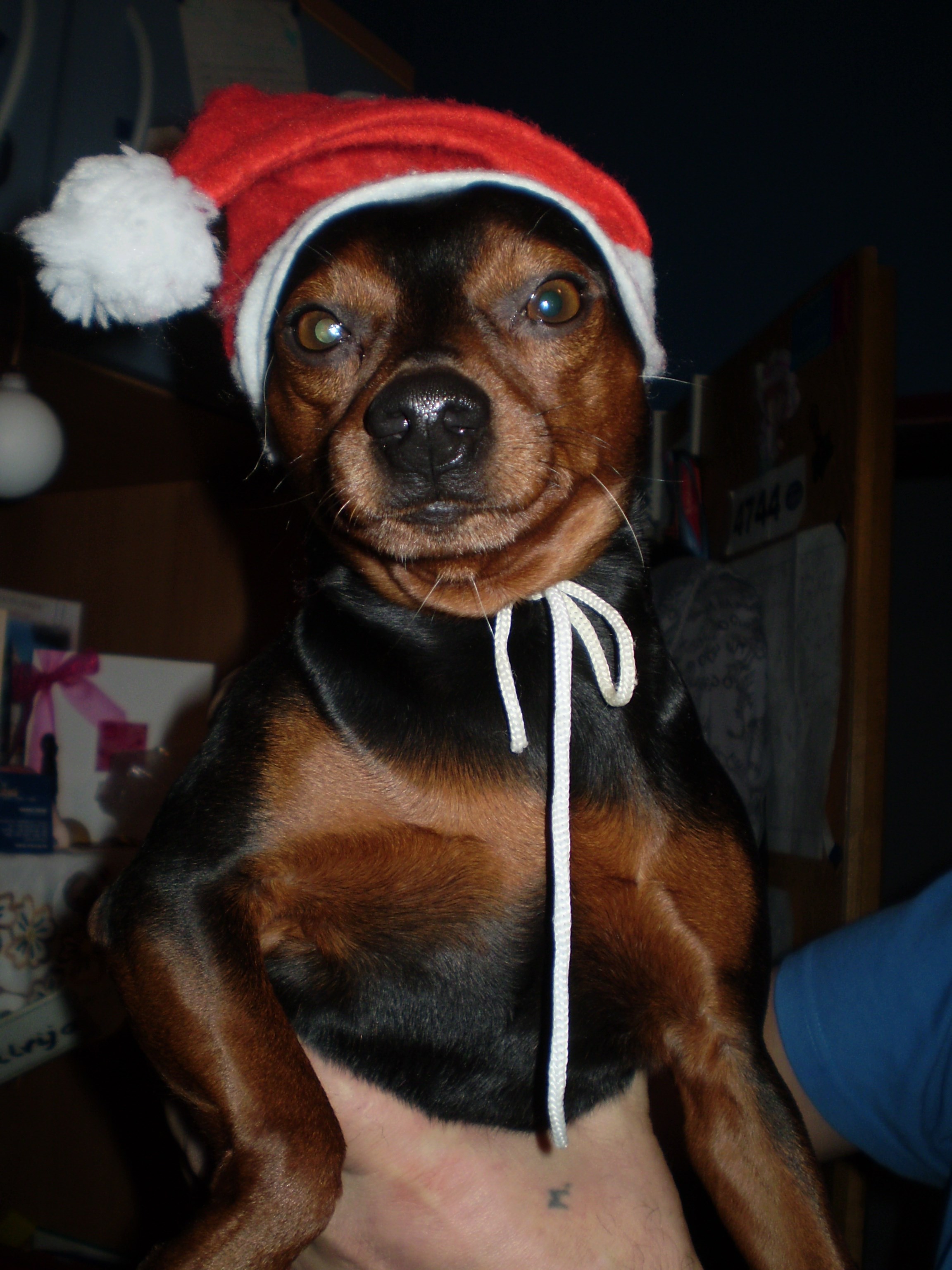 Ja sam spreman za Božić. A Vi?