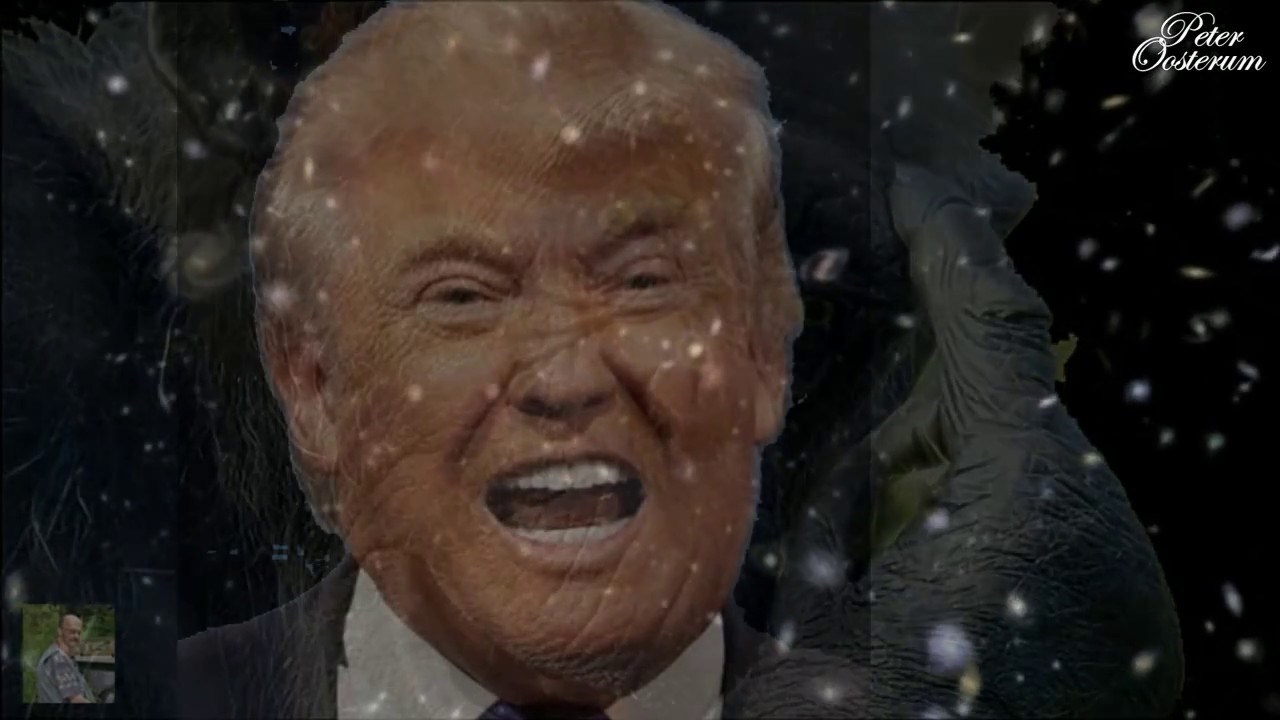 Roger Waters - Perfect Sense