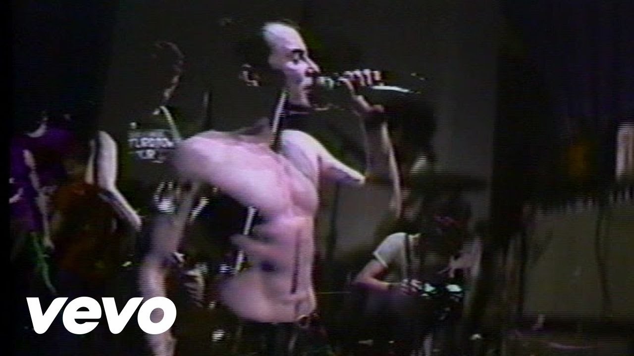 Dead Kennedys - Nazi Punks Fuck Off (Live)