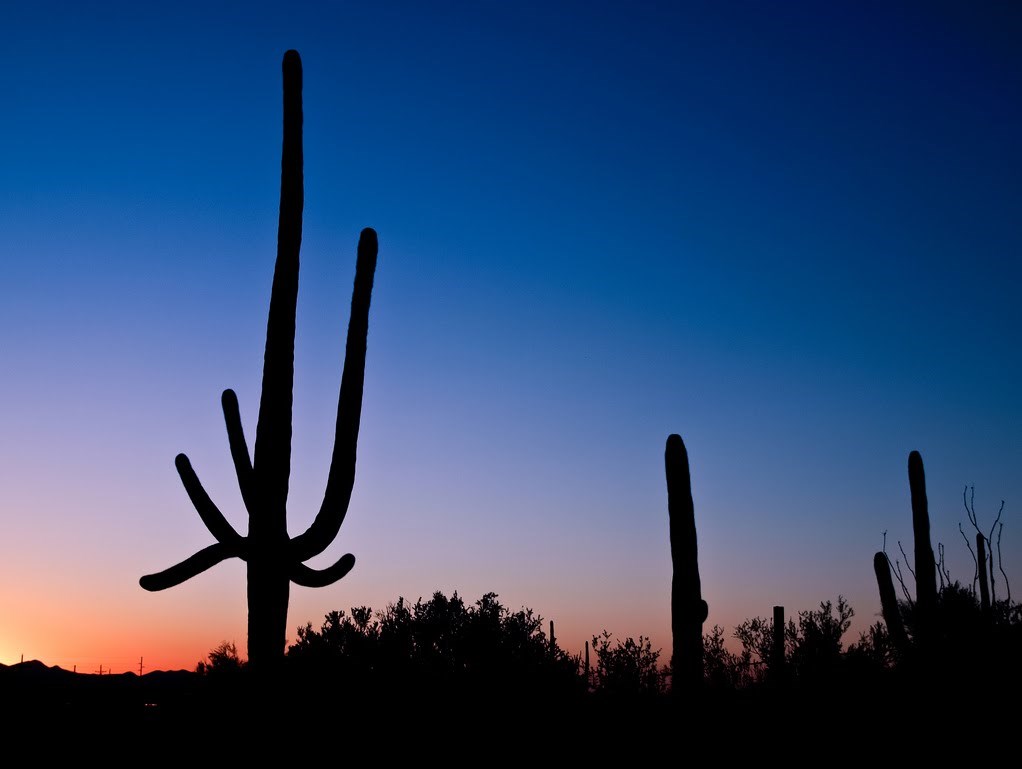 Jim Morrison & The Doors - The Ghost Song