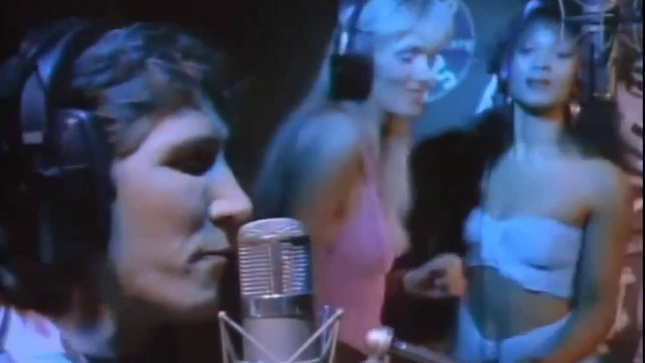 Roger Waters - Folded Flags 