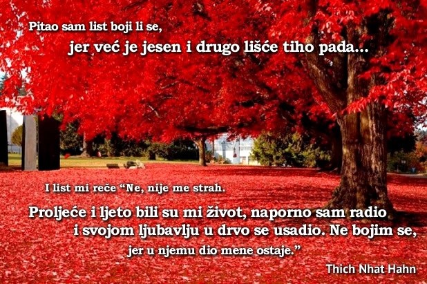 Prije 5 minuta počela je jesen, uživajte u njoj!