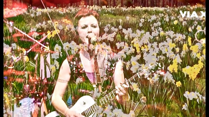Daffodil Lament - The Cranberries