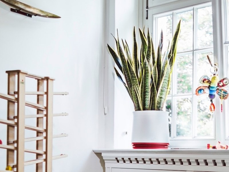 Lonac koji pročišćava zrak koji udišete