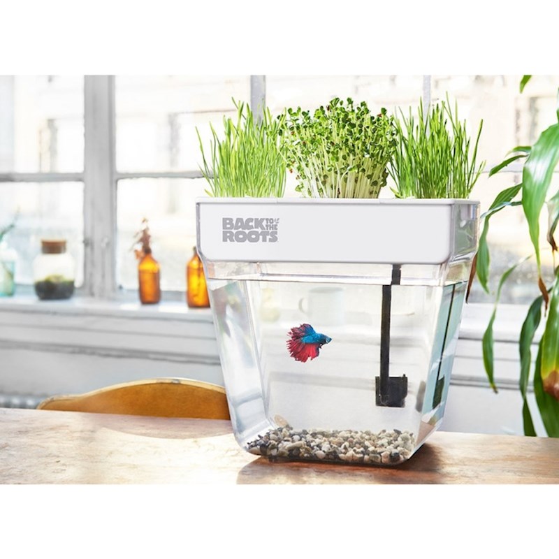 Akvarij koji se čisti sam i na kojem raste cvijeće