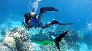 Photography and travel