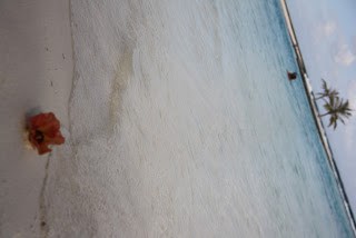 Photography and travel