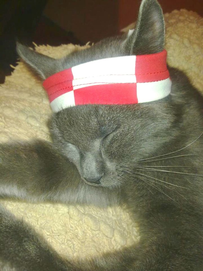 Vatreni navijač