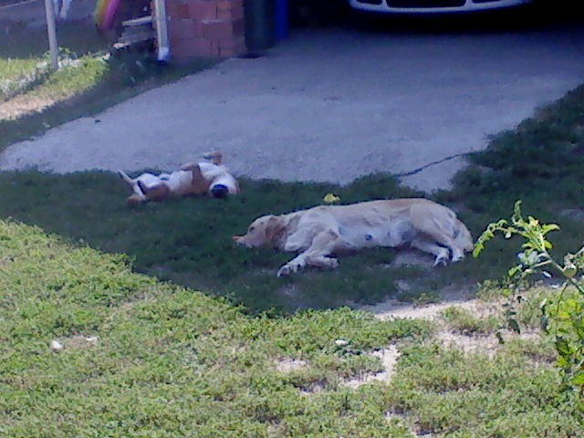 Frendovi malo odmaraju od igre