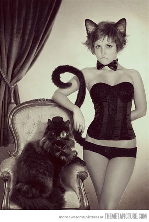 funny-classy-cat-girl-monocle.jpg