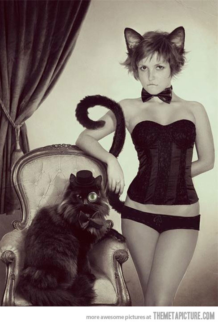 funny-classy-cat-girl-monocle.jpg