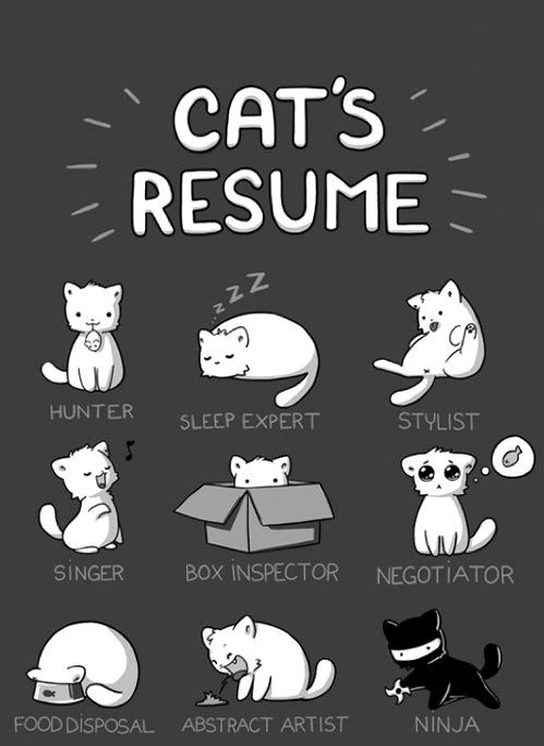 Cats-Resume.jpg