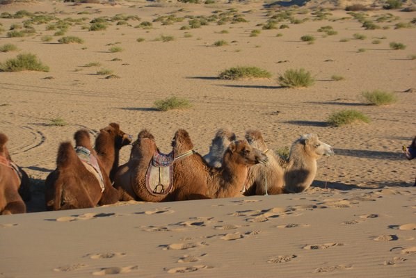 Third Eye Travel, Inc 4809 El Torazo Cmn Fremont, CA Tours Operators & Promoters - MapQuest