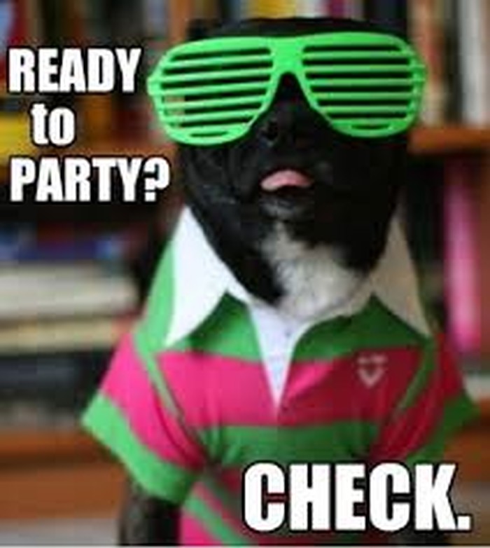 Party hard