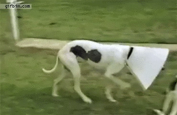 aYe1M47_460sv.gif