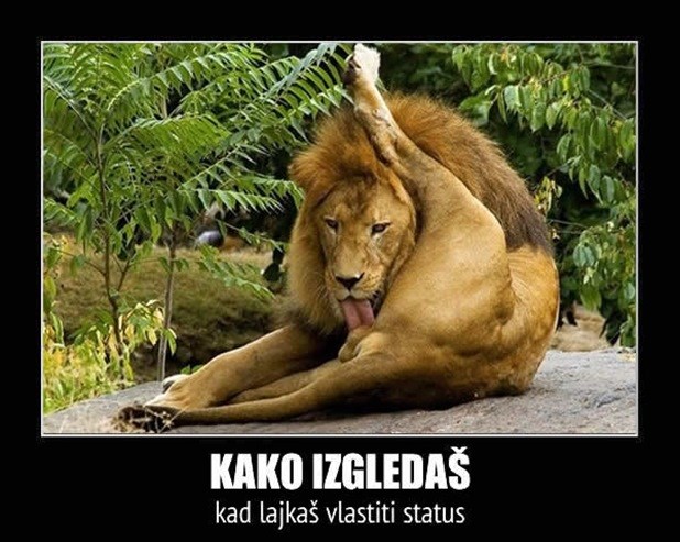 Ima da se lajkam ko'...jpg