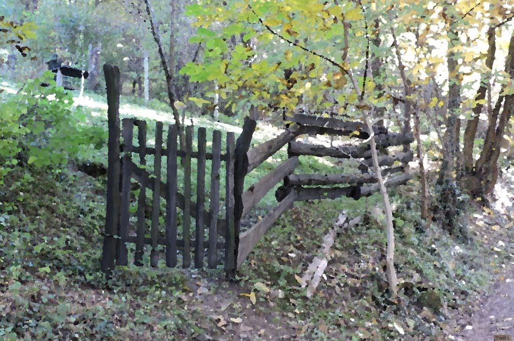 Šetnja po Medvednici