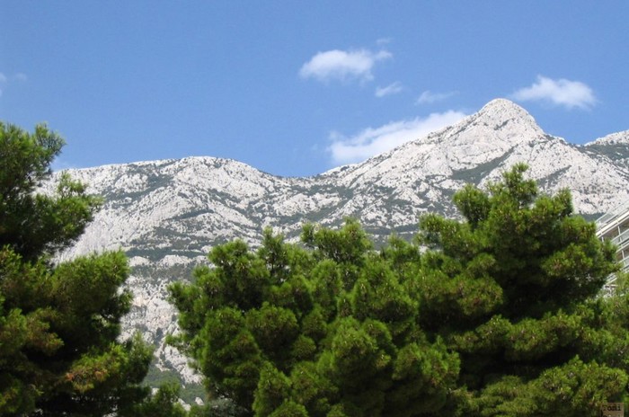 Biokovo preko bora 