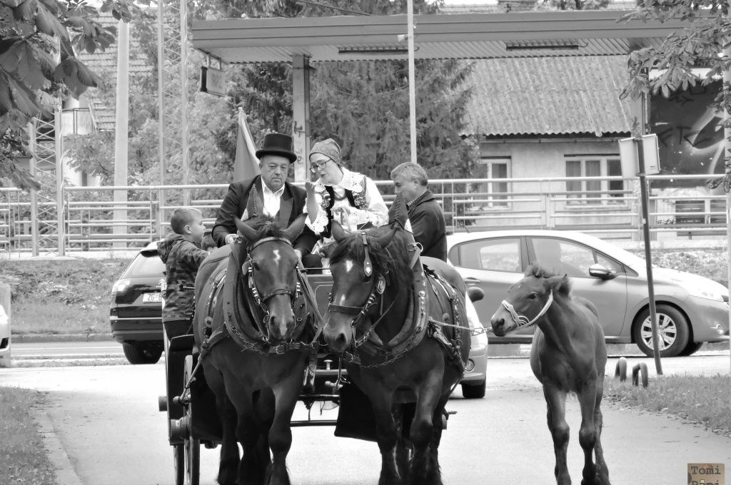 Susedgradske jeseni 2015 - Zagreb 