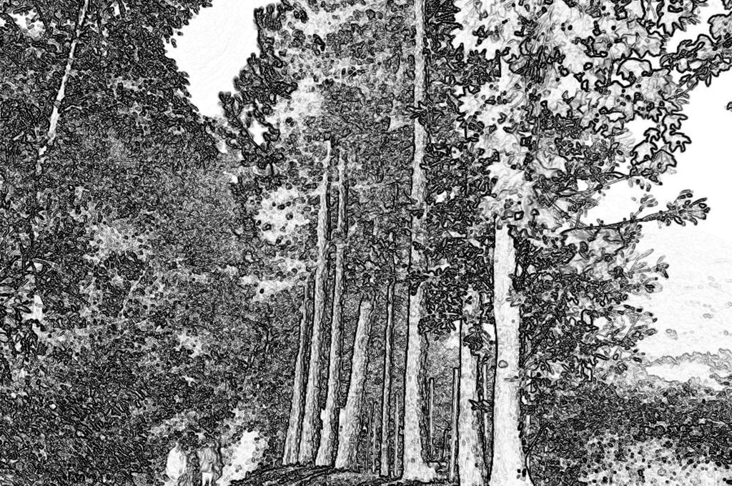 Šetnja po Medvednici