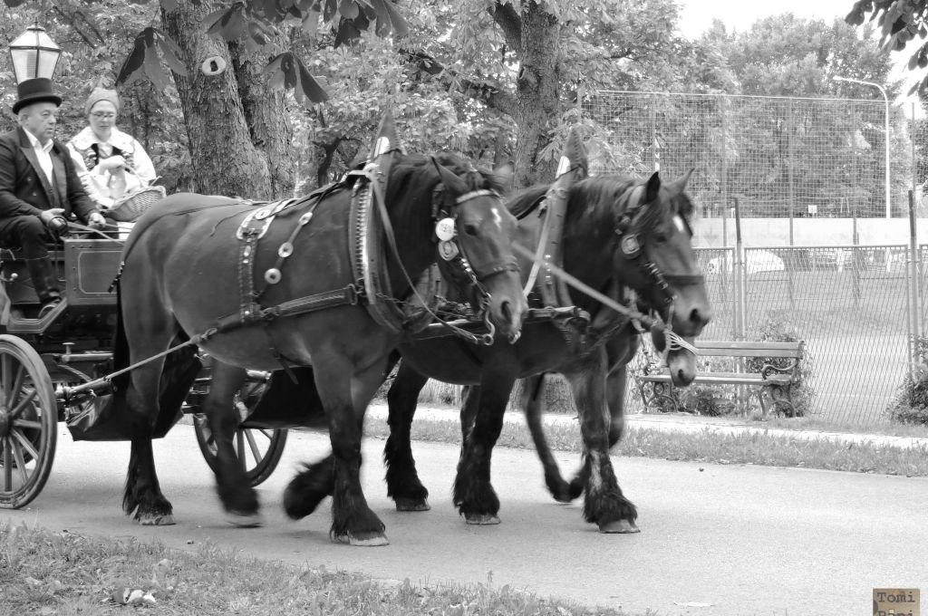 Susedgradske jeseni 2015 - Zagreb