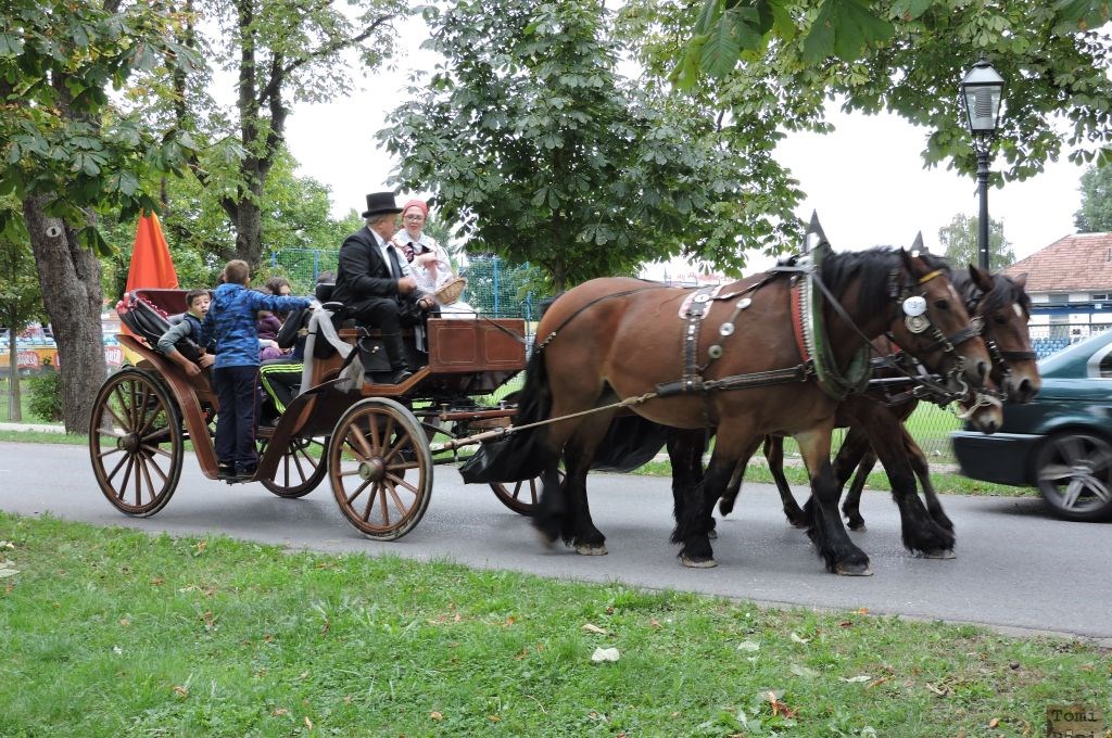 Susedgradske jeseni 2015 - Zagreb 