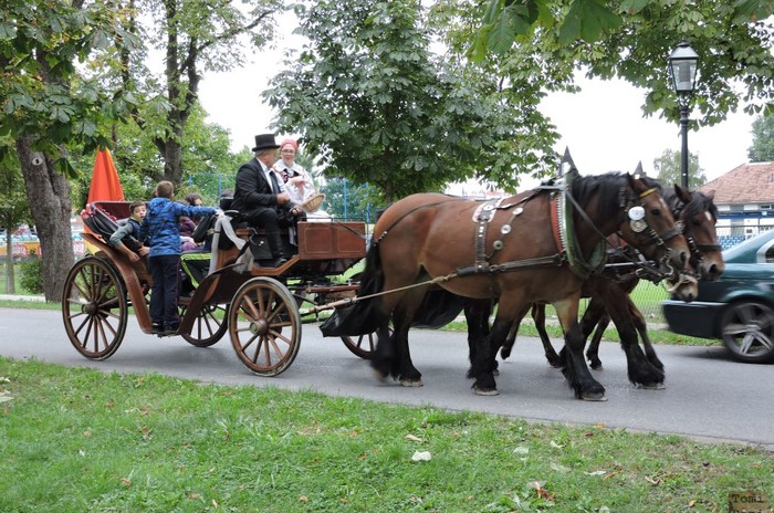 Susedgradske jeseni 2015 - Zagreb 