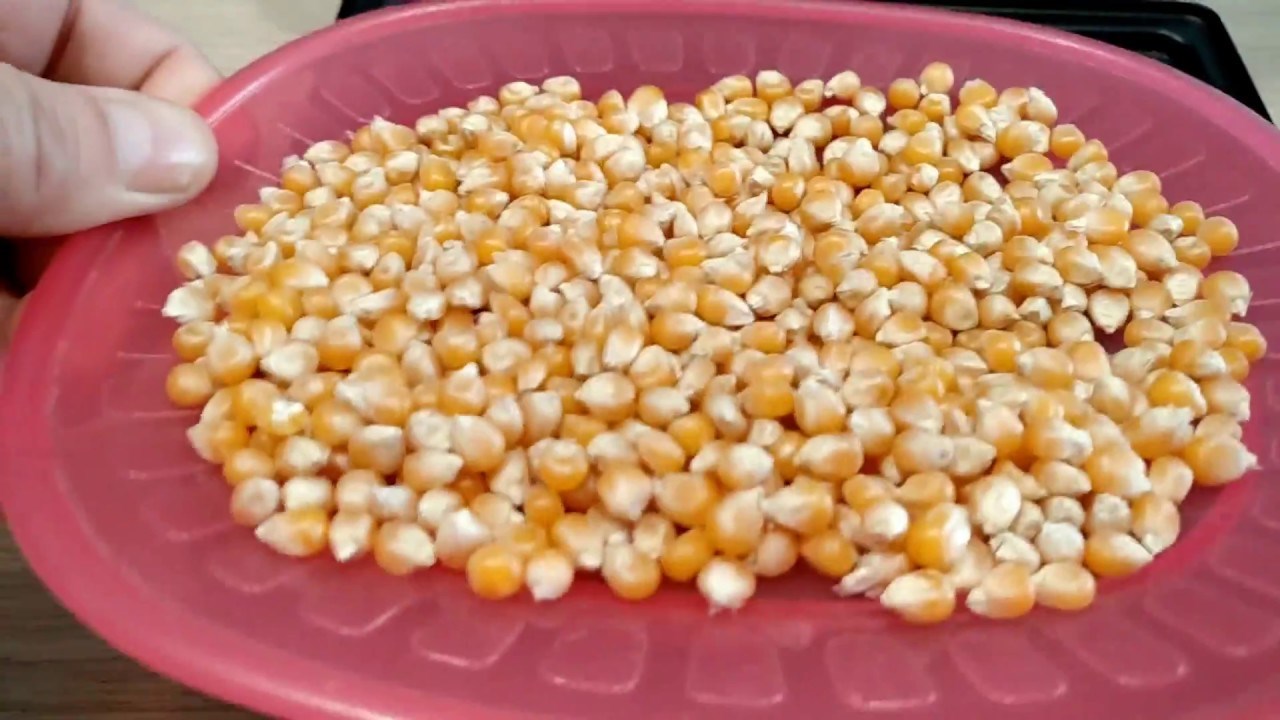 ++TEST++Pop Corn VS Electric Grill VS Apple