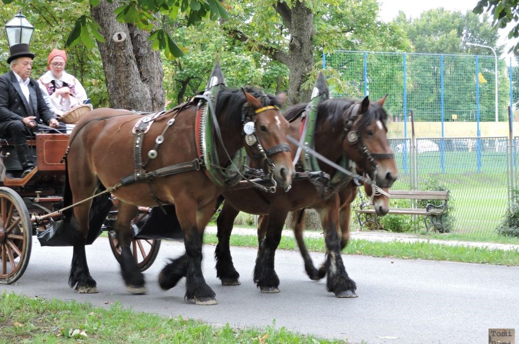 Susedgradske jeseni 2015 - Zagreb 