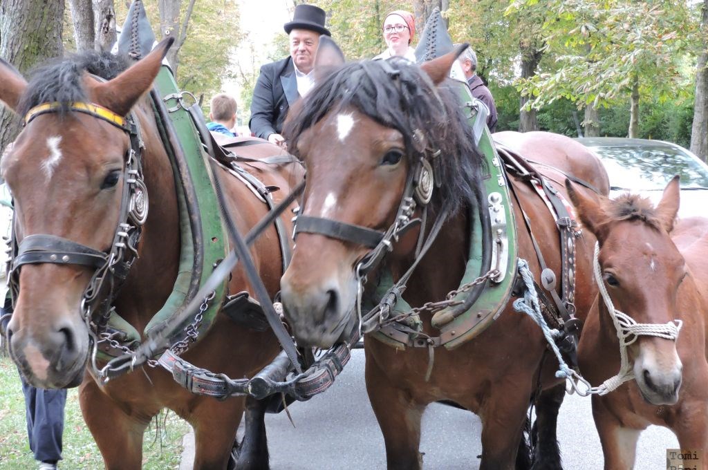 Susedgradske jeseni 2015 - Zagreb