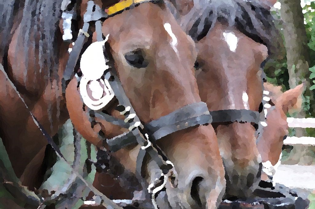 Susedgradske jeseni 2015 - Zagreb