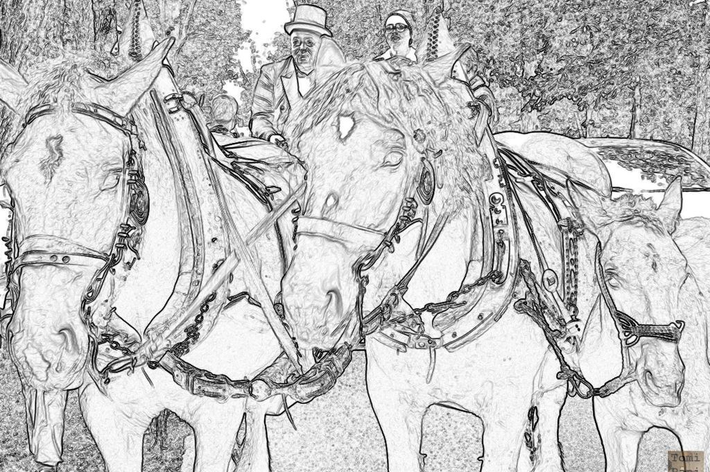 Susedgradske jeseni 2015 - Zagreb 