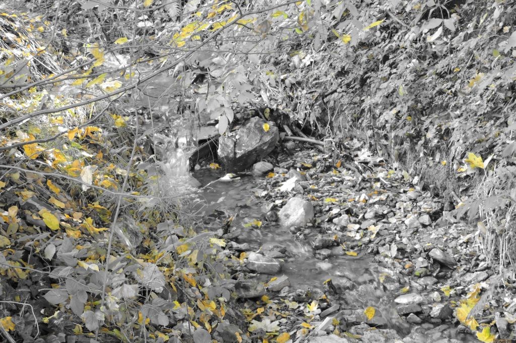 Šetnja po Medvednici