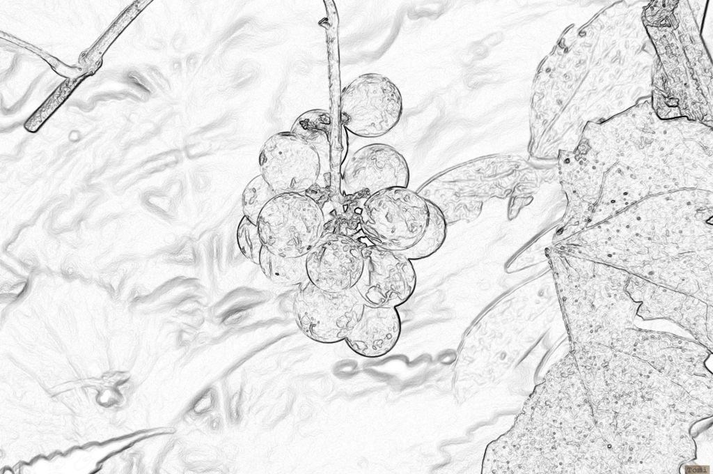 Šetnja po Medvednici