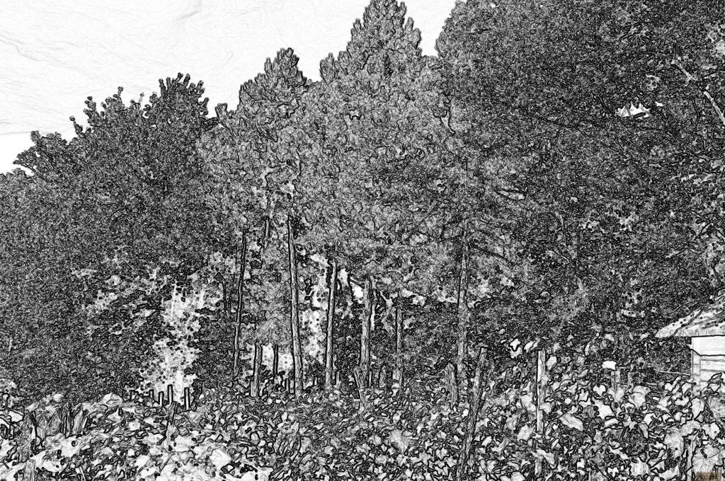 Šetnja po Medvednici