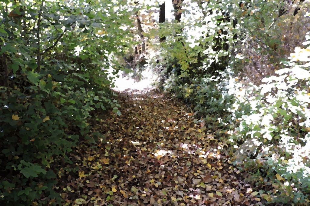 Šetnja po Medvednici