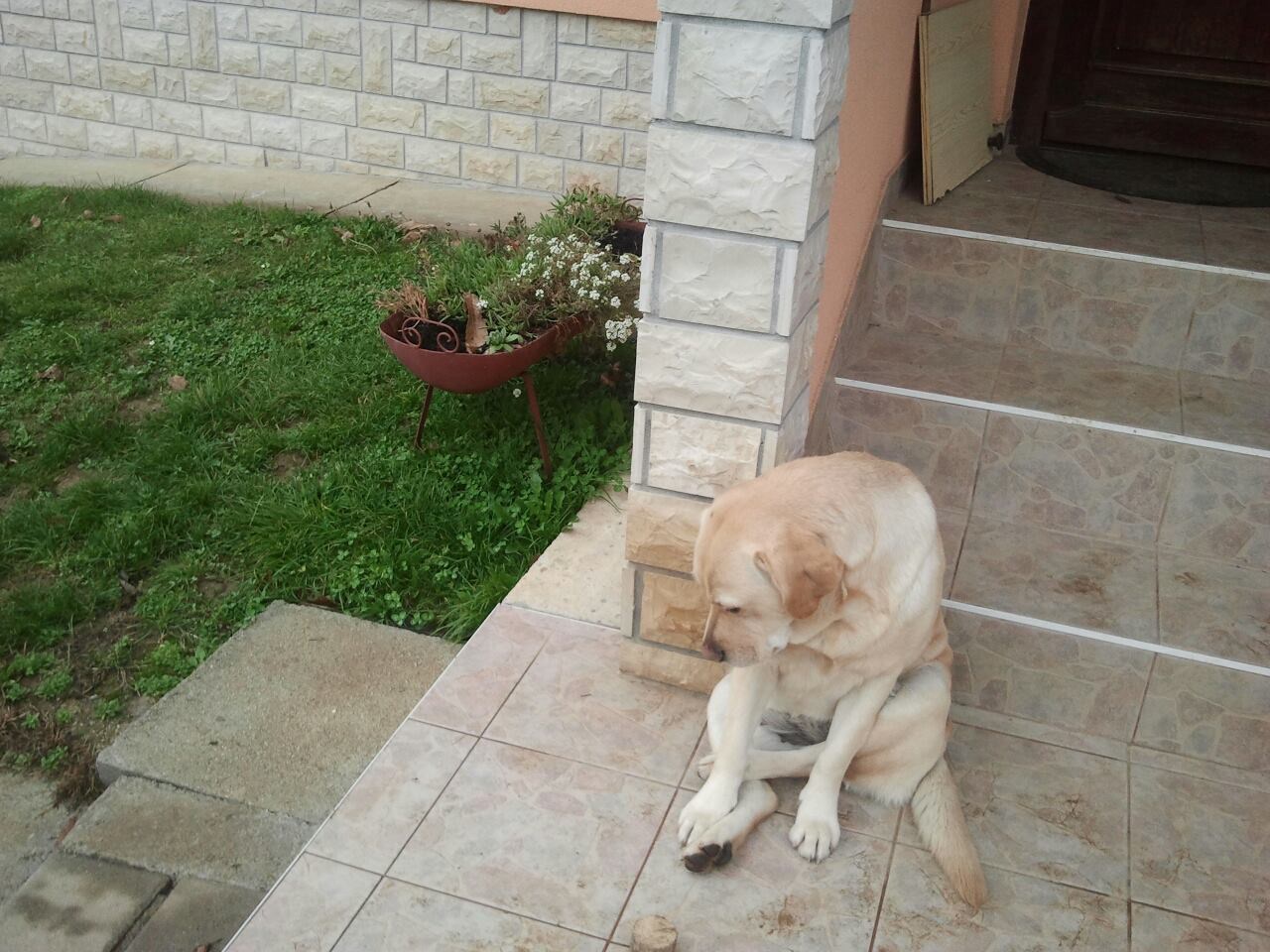 Lola je tužna jer je u kazni