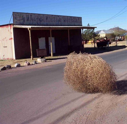tumbleweed