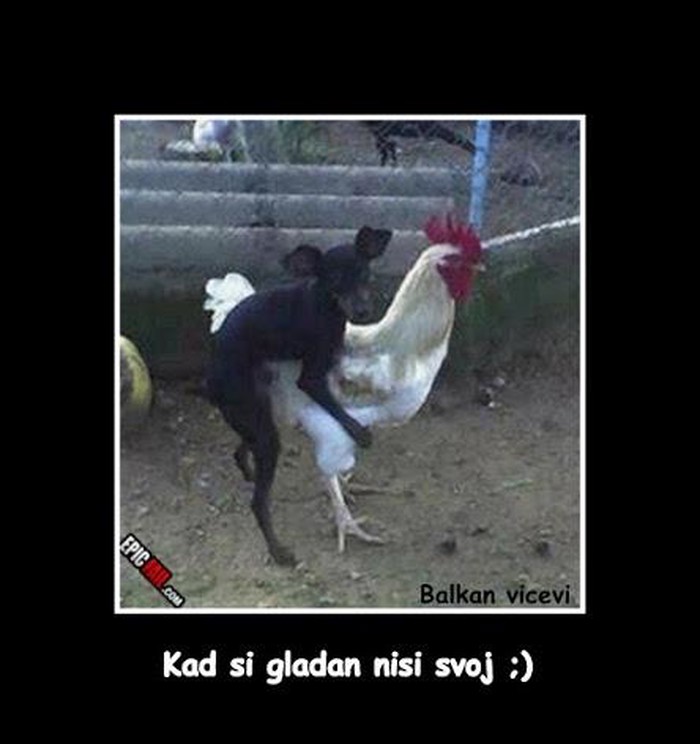 kad si gladan
