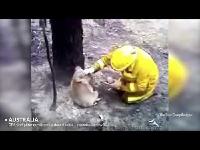 Faith In Humanity