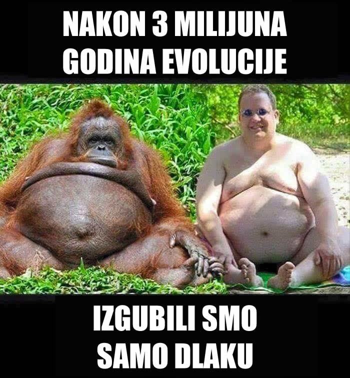 Sličniji smo nego mislimo!