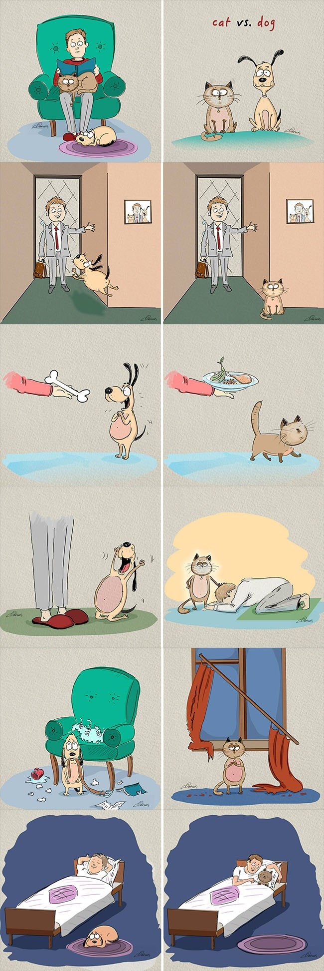 Tko je bolji kućni ljubimac? Ovo je razlika između mačke i psa