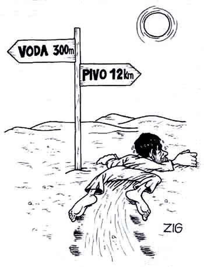 Voda ili pivo?