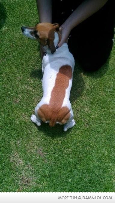 Kad se priroda poigra!!! :)))))