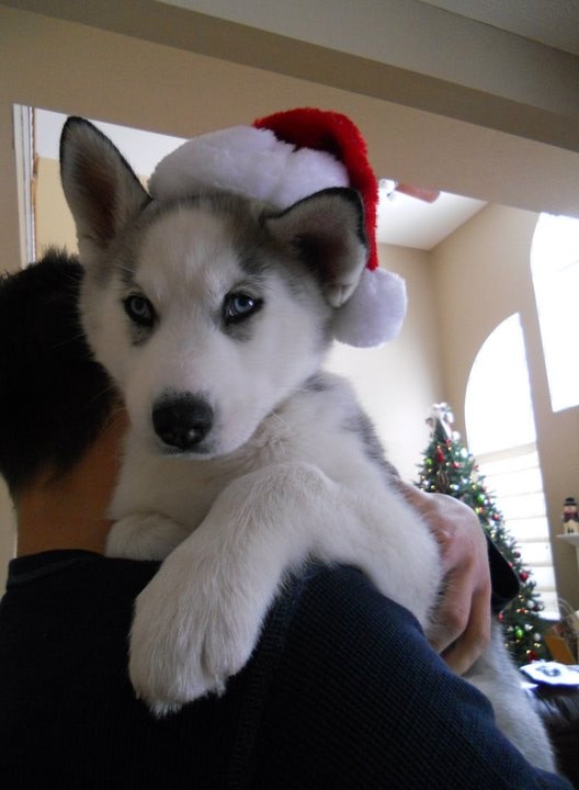 Dosta mi je te kape!