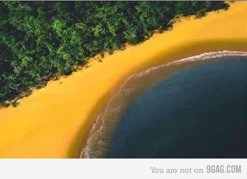 Očigledna montaža?