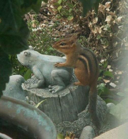 Što vam padne na pamet kad vidite ovu sliku?