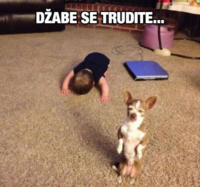 AAA, ne mogu se dići!