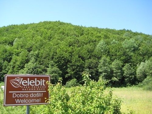 velebitni